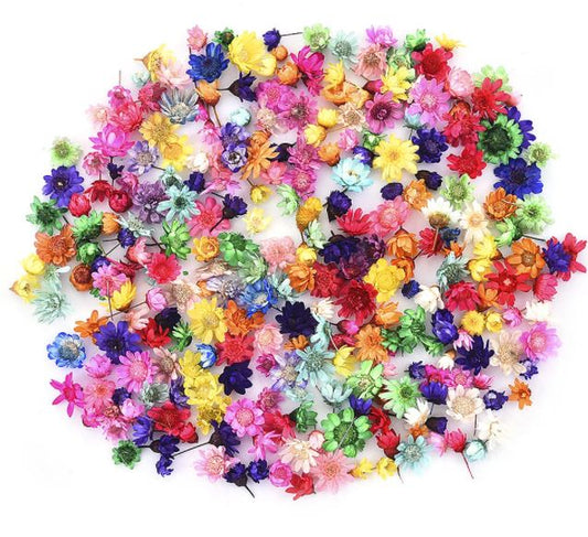 100 Mix cores Cabeça de Flores Secas Preservadas P/ Resina Epóxi jóias, unhas
