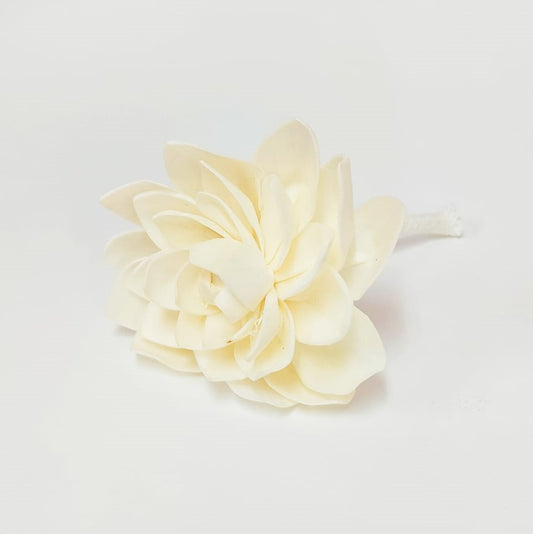 Flor de com pavio para Didusor