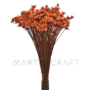 Glixias Flores Secas Preservadas ( Mini )± 100 cabeças 