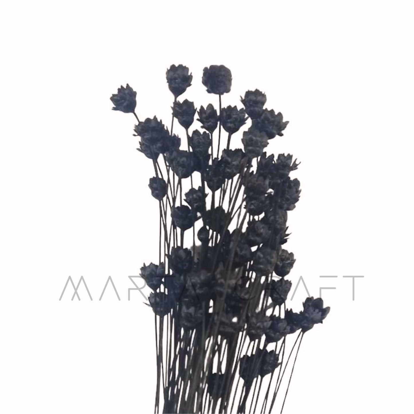 Glixias Flores Secas Preservadas ( Mini )± 100 cabeças 