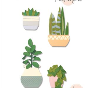 Sizzix 664372 - Set Vasos + Catos - Metal Die Cut