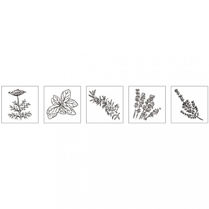 Mini conjunto de carimbos de madeira - ervas aromáticas Rayher  68064000